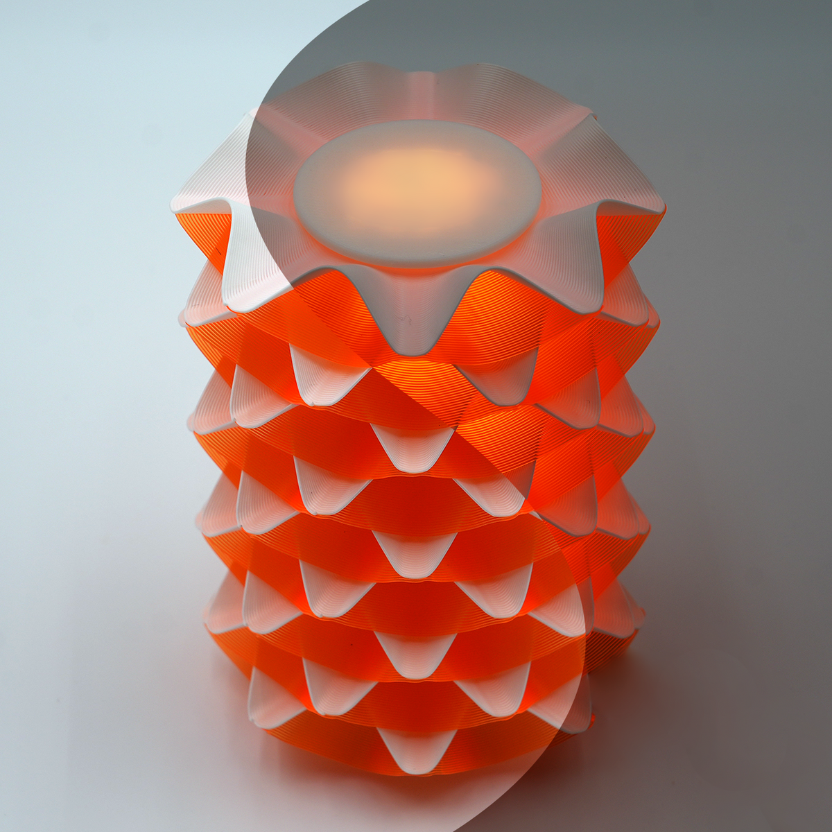 Oscilla | Citrus Sorbet