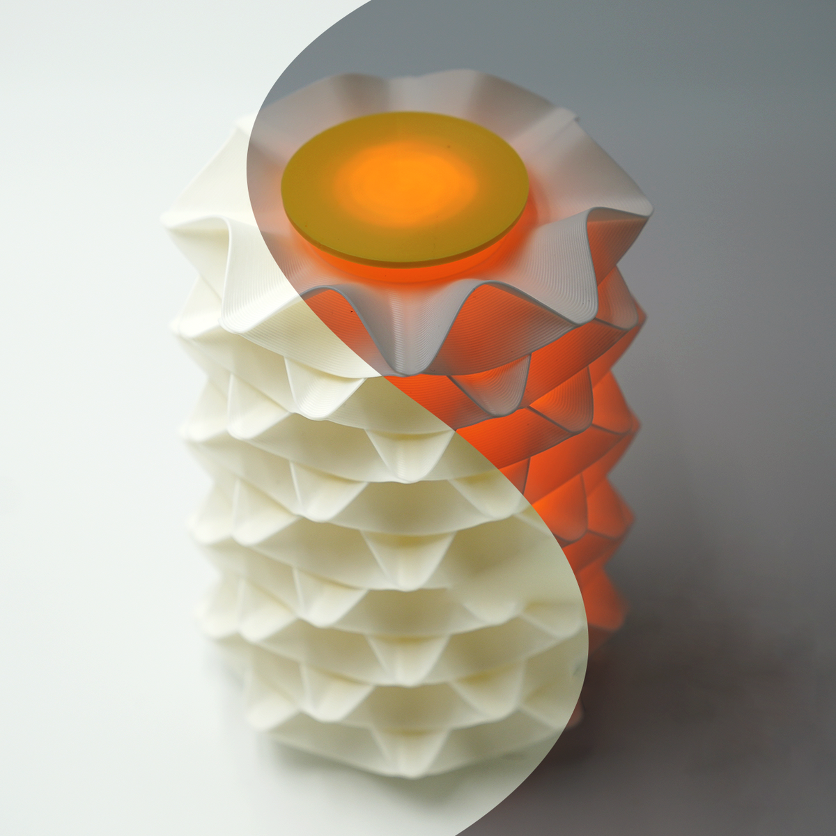 Oscilla | Egg Yolk